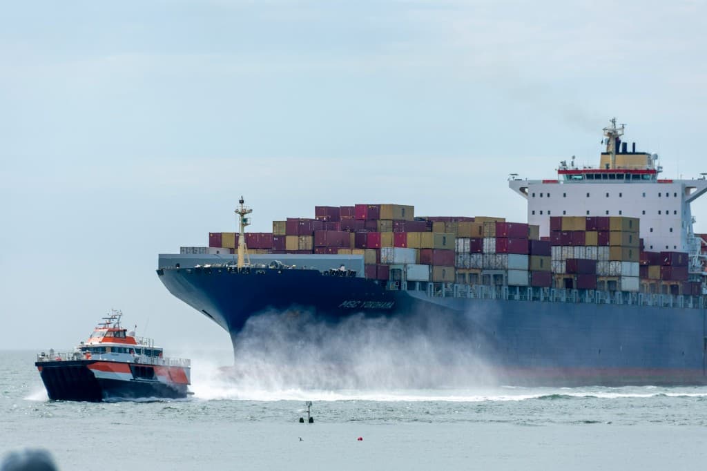 Container ship MSC Yokohama at sea — marine cargo insurance